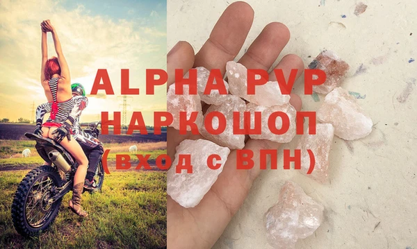 индика Надым