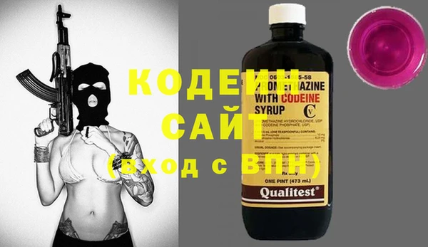 индика Надым