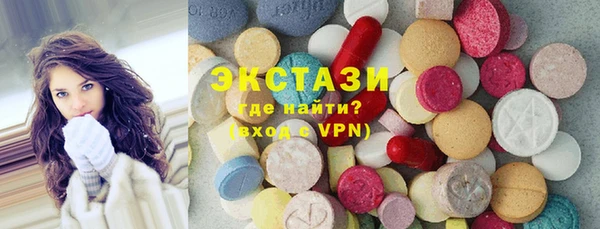 индика Надым